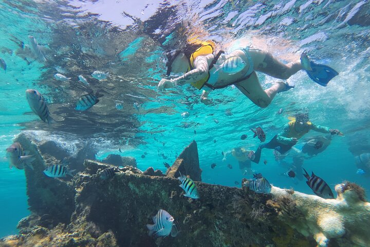 Crociera di lusso in catamarano a Isla Mujeres da Cancún, con snorkeling ed esplorazione dell'isola, foto 10 | wizardtrip