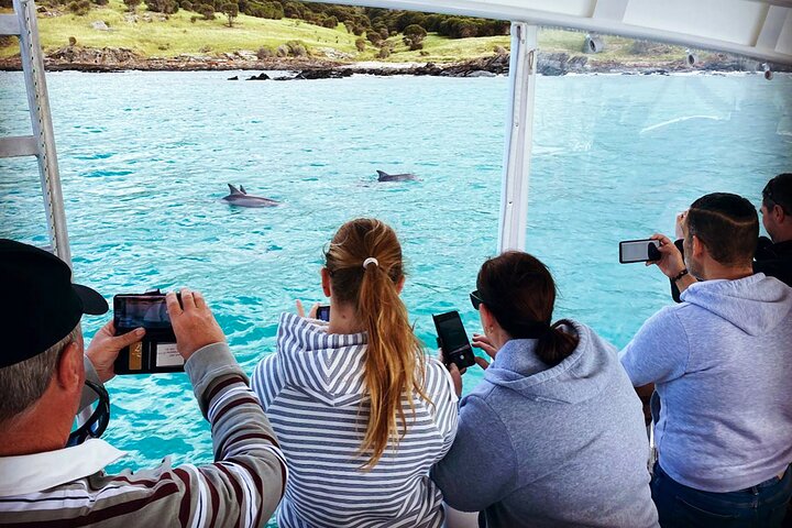 Crociera safari costiero a Kangaroo Island con avvistamento fauna selvatica e panorami, foto 7 | wizardtrip