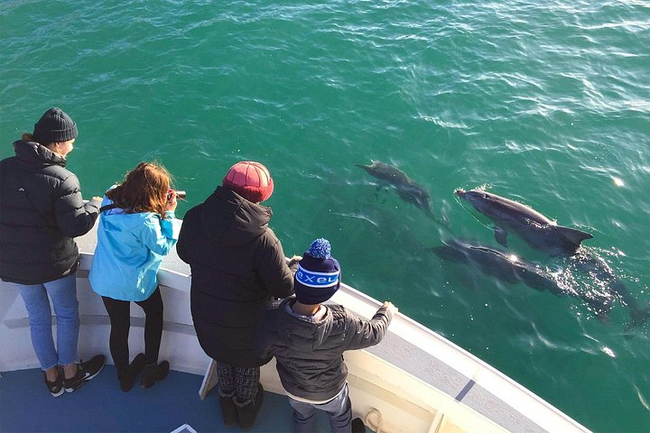 Crociera safari costiero a Kangaroo Island con avvistamento fauna selvatica e panorami, foto 9 | wizardtrip