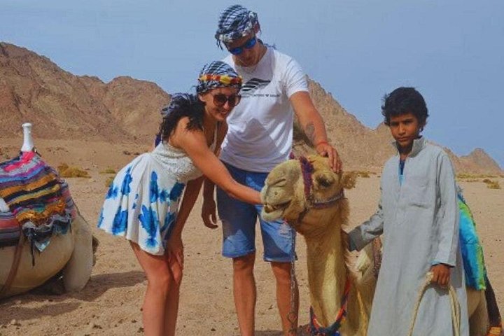 Quad-Bike- und Kamelritt-Abenteuer in der Sinai-Wüste von Sharm El Sheikh, Foto 18 | wizardtrip
