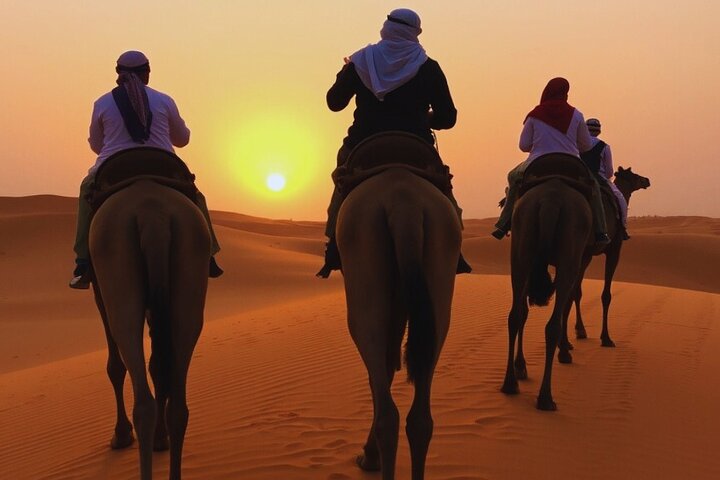 Quad-Bike- und Kamelritt-Abenteuer in der Sinai-Wüste von Sharm El Sheikh, Foto 19 | wizardtrip