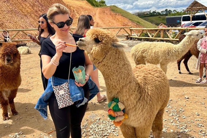 Découvrez les couleurs vibrantes et les paysages époustouflants de Guatapé lors d'un tour premium depuis Medellín, avec le Rocher du Peñol, une balade en bateau et une cuisine locale, photo 8 | wizardtrip