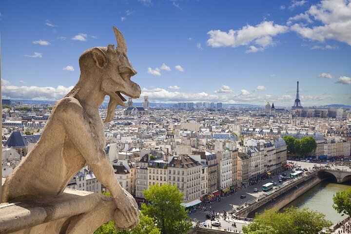 Guided tour of Notre Dame Cathedral in Paris, France, photo 15 | wizardtrip