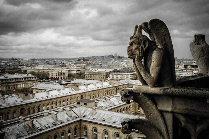 Guided tour of Notre Dame Cathedral in Paris, France, photo 18 | wizardtrip