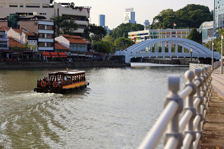 Singapores nattur med flodkryssning, Gardens by the Bay ljusshow och Marina Bay Sands, foto 7 | wizardtrip