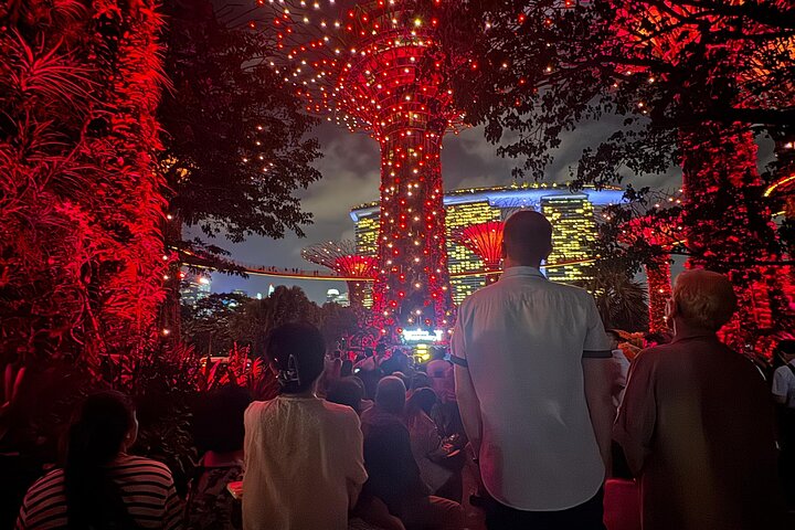 Singapores nattur med flodkryssning, Gardens by the Bay ljusshow och Marina Bay Sands, foto 8 | wizardtrip