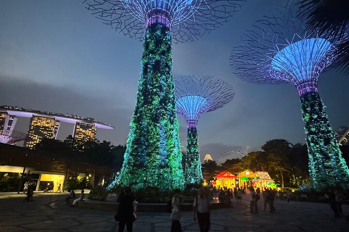 Singapores nattur med flodkryssning, Gardens by the Bay ljusshow och Marina Bay Sands, foto 10 | wizardtrip