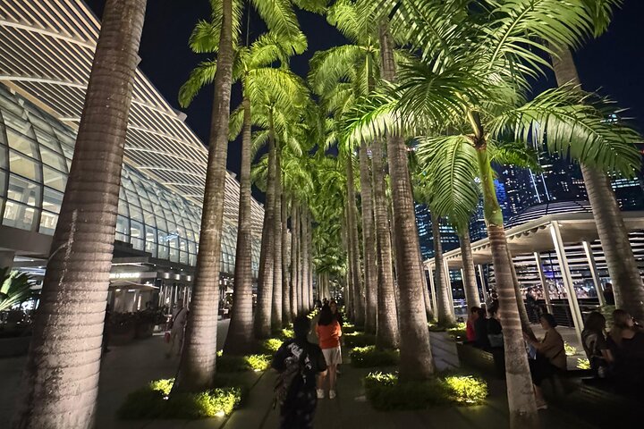 Singapores nattur med flodkryssning, Gardens by the Bay ljusshow och Marina Bay Sands, foto 11 | wizardtrip