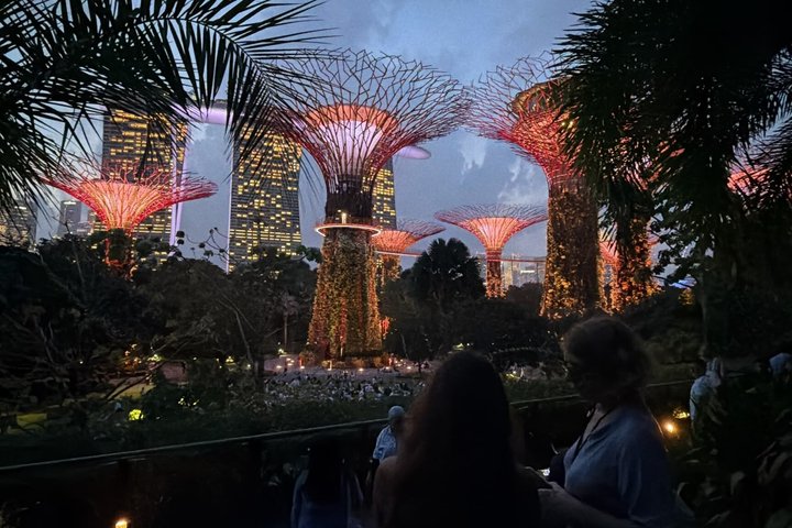 Singapores nattur med flodkryssning, Gardens by the Bay ljusshow och Marina Bay Sands, foto 18 | wizardtrip