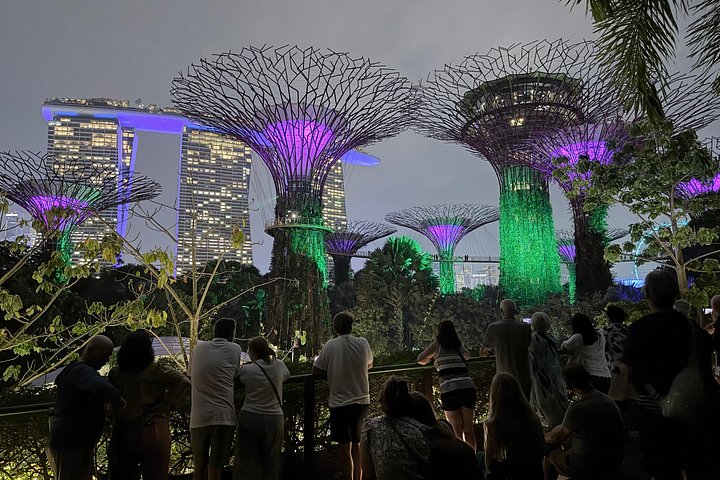 Singapores nattur med flodkryssning, Gardens by the Bay ljusshow och Marina Bay Sands, foto 19 | wizardtrip