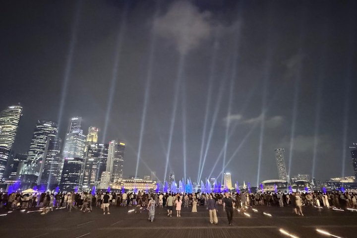 Singapores nattur med flodkryssning, Gardens by the Bay ljusshow och Marina Bay Sands, foto 21 | wizardtrip