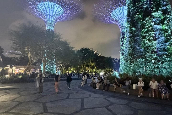 Singapores nattur med flodkryssning, Gardens by the Bay ljusshow och Marina Bay Sands, foto 22 | wizardtrip