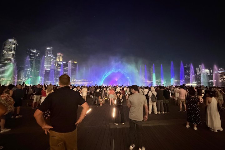Singapores nattur med flodkryssning, Gardens by the Bay ljusshow och Marina Bay Sands, foto 25 | wizardtrip