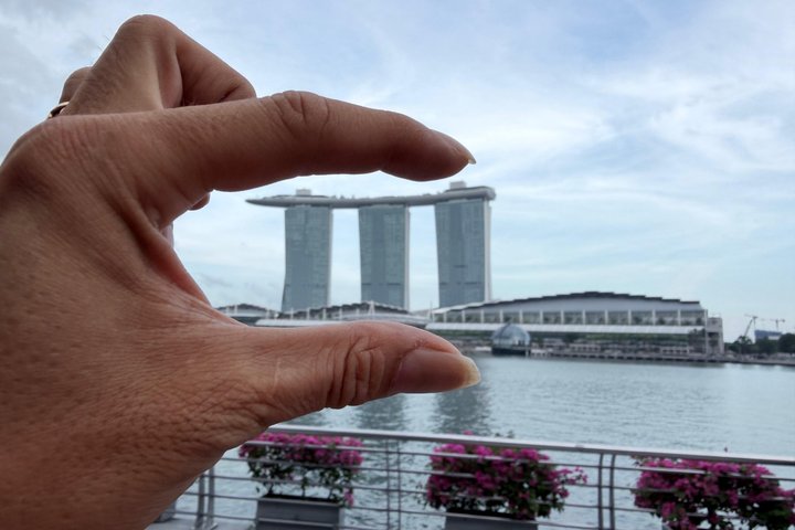 Singapores nattur med flodkryssning, Gardens by the Bay ljusshow och Marina Bay Sands, foto 26 | wizardtrip