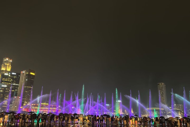 Singapores nattur med flodkryssning, Gardens by the Bay ljusshow och Marina Bay Sands, foto 29 | wizardtrip