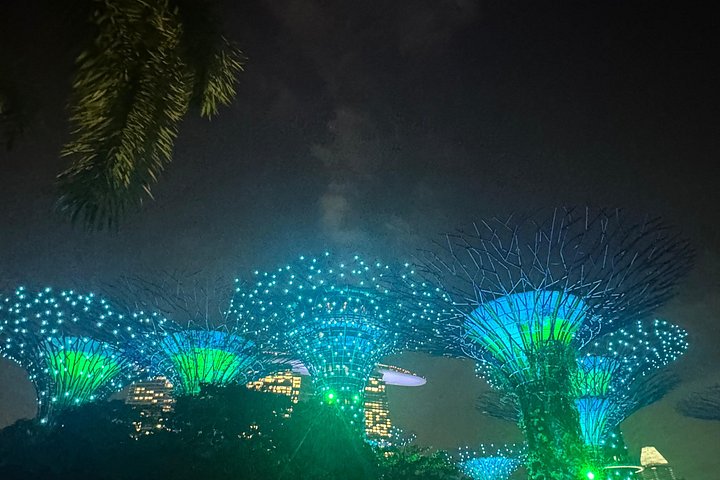 Singapores nattur med flodkryssning, Gardens by the Bay ljusshow och Marina Bay Sands, foto 31 | wizardtrip
