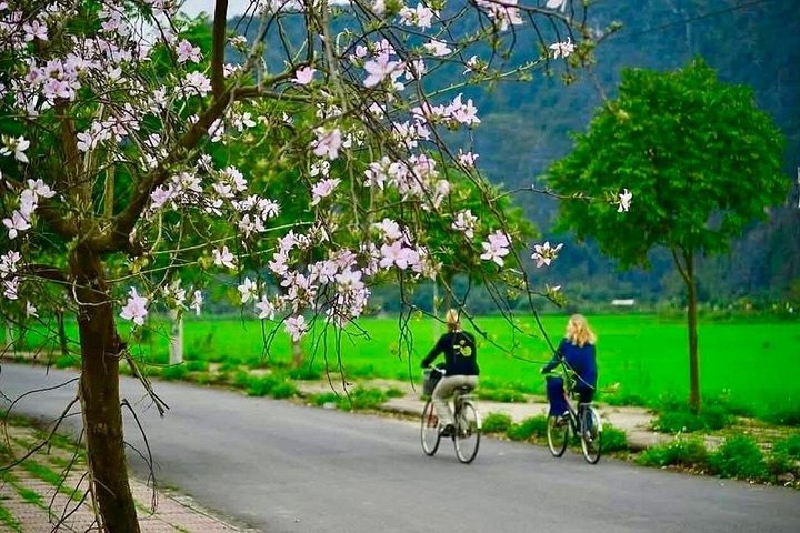 Full-day tour from Hanoi to Ninh Binh visiting Hoa Lu, Trang An, and Mua Cave with cycling, photo 25 | wizardtrip