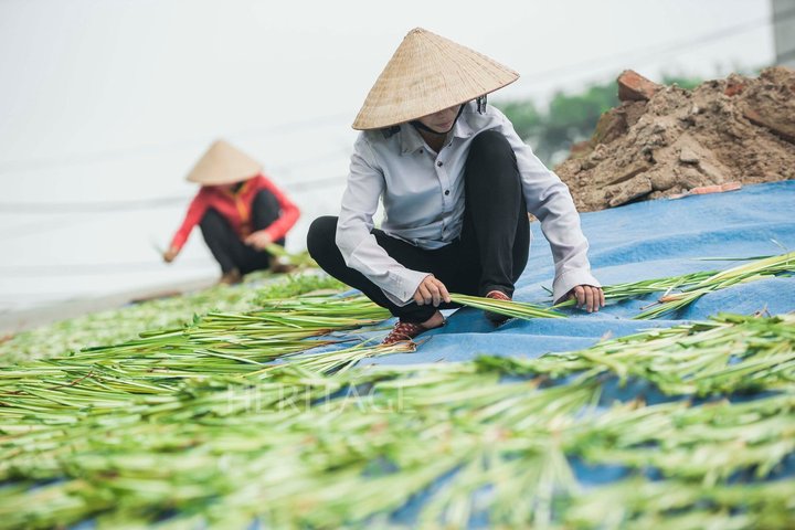 Explore Vietnamese conical hat and incense making traditions on a small group tour from Hanoi, photo 26 | wizardtrip