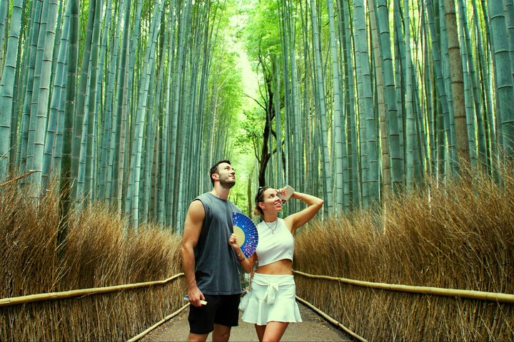 Kyoto: Arashiyama Bamboo Forest, Monkey Park & Temple Tour | wizardtrip