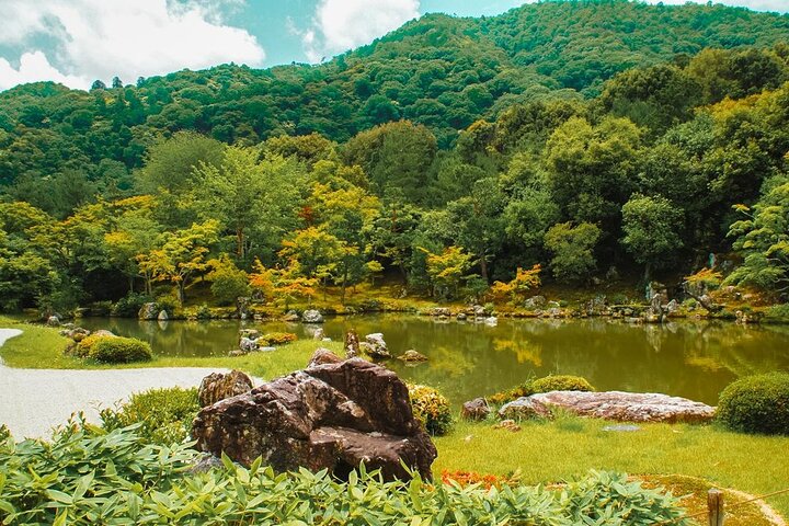 Tour a piedi attraverso la Foresta di Bambù di Arashiyama, il Parco delle Scimmie e il Tempio Tenryu-ji di Kyoto, foto 10 | wizardtrip