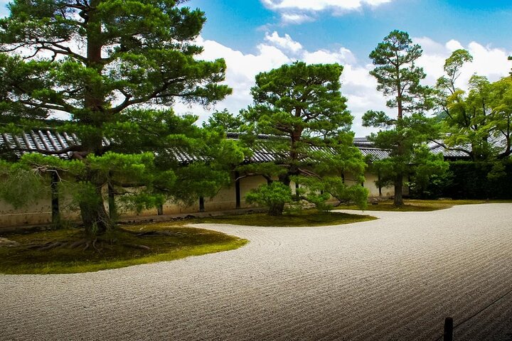 Tour a piedi attraverso la Foresta di Bambù di Arashiyama, il Parco delle Scimmie e il Tempio Tenryu-ji di Kyoto, foto 13 | wizardtrip