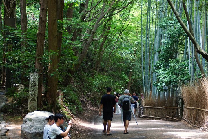 Tour a piedi attraverso la Foresta di Bambù di Arashiyama, il Parco delle Scimmie e il Tempio Tenryu-ji di Kyoto, foto 16 | wizardtrip