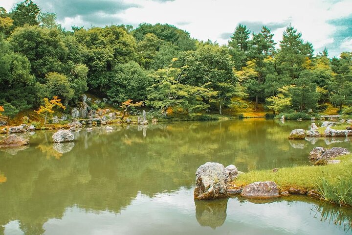 Tour a piedi attraverso la Foresta di Bambù di Arashiyama, il Parco delle Scimmie e il Tempio Tenryu-ji di Kyoto, foto 17 | wizardtrip