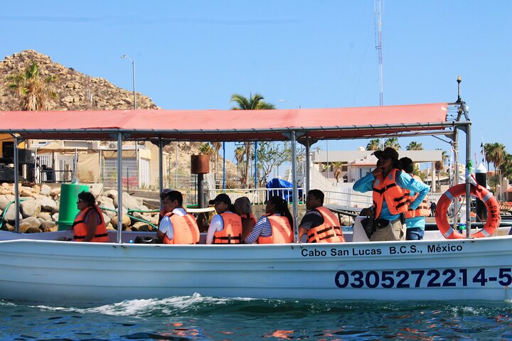Glass bottom boat tour to the Arch of Cabo San Lucas, Mexico, showcasing marine life and rock formations, photo 6 | wizardtrip
