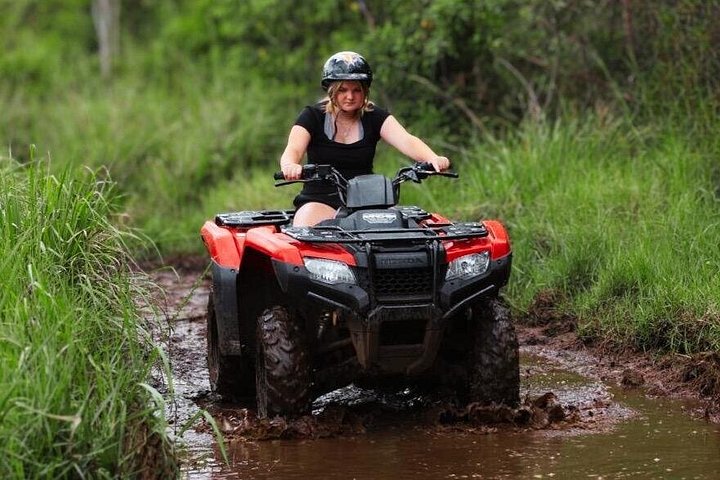 Explora los exuberantes paisajes y la vida de granja de la Isla Grande, Hawái, en una emocionante aventura en quad, foto 7 | wizardtrip
