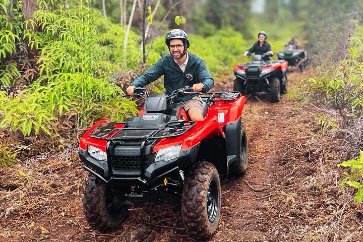 Explora los exuberantes paisajes y la vida de granja de la Isla Grande, Hawái, en una emocionante aventura en quad, foto 8 | wizardtrip