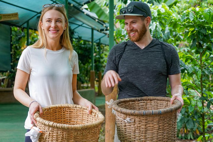Lär dig om kaffe- och chokladproduktion och njut av provsmakningar på denna tur i La Fortuna, Costa Rica, foto 8 | wizardtrip