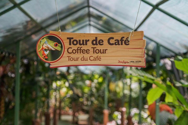 Lär dig om kaffe- och chokladproduktion och njut av provsmakningar på denna tur i La Fortuna, Costa Rica, foto 12 | wizardtrip
