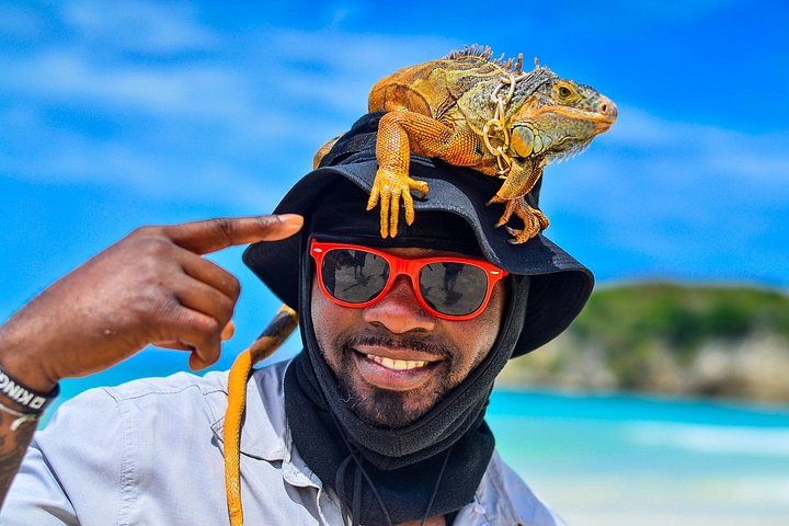 ATV and Buggy adventure tour in Punta Cana, exploring beaches, caves, and countryside, photo 19 | wizardtrip