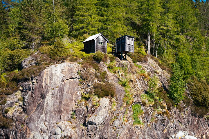 Schilderachtige fjordcruise door Noorse bergen en fjorden nabij Bergen, foto 8 | wizardtrip
