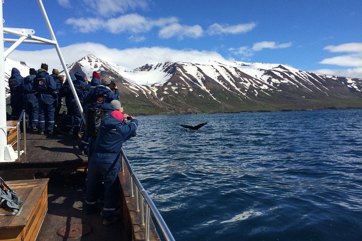 En lille gruppe udforsker Islands fantastiske naturlandskaber, herunder vandfald, gletsjere og geotermiske områder, foto 6 | wizardtrip