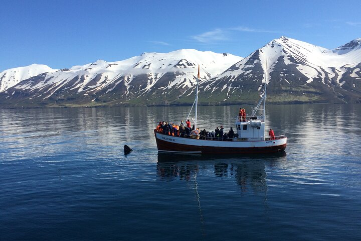 En lille gruppe udforsker Islands fantastiske naturlandskaber, herunder vandfald, gletsjere og geotermiske områder, foto 11 | wizardtrip