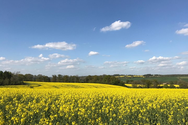 Small group tour exploring charming Cotswolds villages and countryside from Oxford, photo 6 | wizardtrip