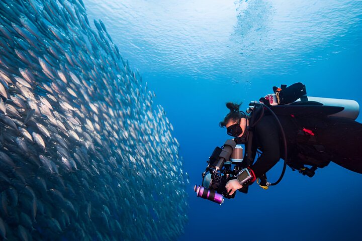 Plongée sous-marine à Hurghada : Excursion d'une journée complète en bateau avec déjeuner et transfert | wizardtrip