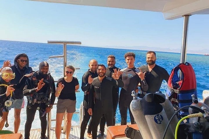 Dykkeeventyr i Rødehavet, Hurghada, med båttur, lunsj og transport, foto 21 | wizardtrip