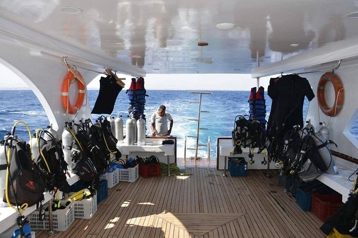 Dykkeeventyr i Rødehavet, Hurghada, med båttur, lunsj og transport, foto 29 | wizardtrip