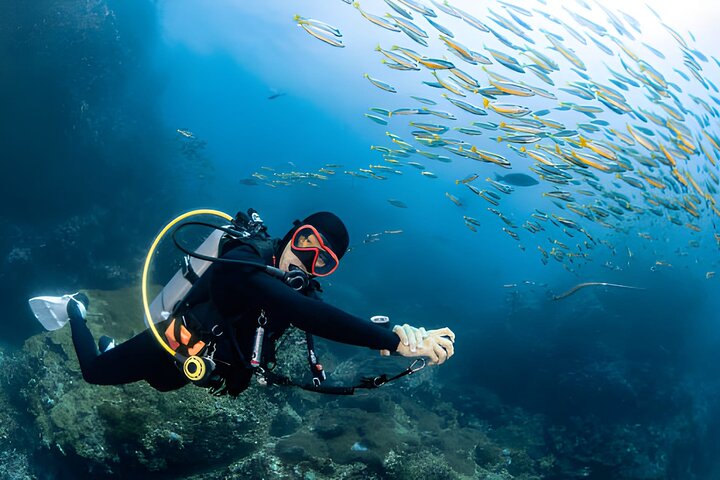 Dykkeeventyr i Rødehavet, Hurghada, med båttur, lunsj og transport, foto 30 | wizardtrip