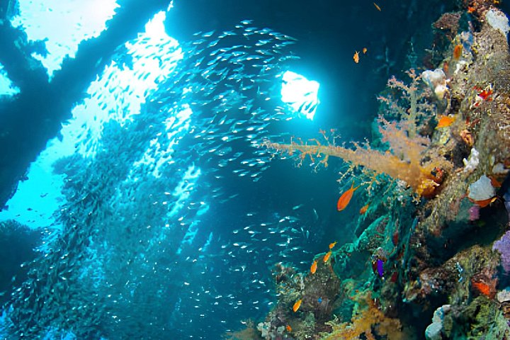 Dykkeeventyr i Rødehavet, Hurghada, med båttur, lunsj og transport, foto 31 | wizardtrip