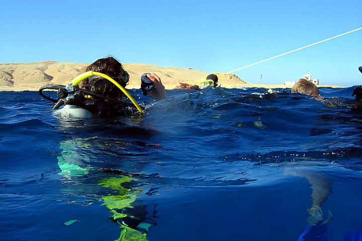 Dykkeeventyr i Rødehavet, Hurghada, med båttur, lunsj og transport, foto 32 | wizardtrip