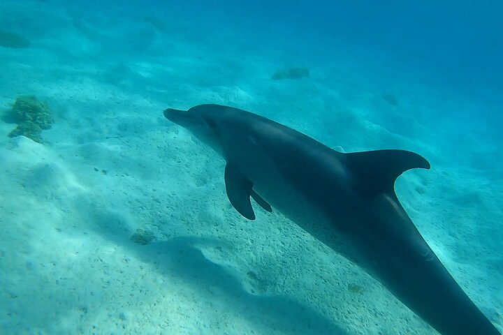 Cruzeiro de iate de luxo para as ilhas Orange Bay e Hula Hula a partir de Hurghada, Egito, foto 12 | wizardtrip