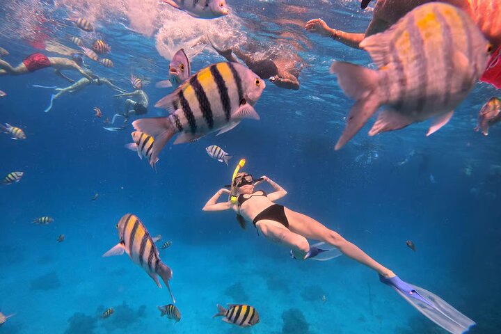 Cruzeiro de iate de luxo para as ilhas Orange Bay e Hula Hula a partir de Hurghada, Egito, foto 15 | wizardtrip