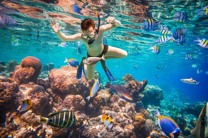 Cruzeiro de iate de luxo para as ilhas Orange Bay e Hula Hula a partir de Hurghada, Egito, foto 17 | wizardtrip