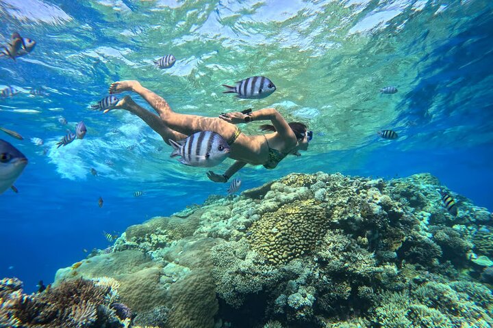 Cruzeiro de iate de luxo para as ilhas Orange Bay e Hula Hula a partir de Hurghada, Egito, foto 20 | wizardtrip