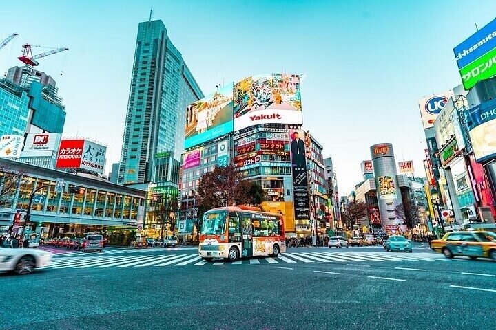 Privé sightseeingtour in Tokyo met chauffeur, bezoek aan bezienswaardigheden zoals Senso-ji Tempel en Shibuya Crossing, foto 9 | wizardtrip