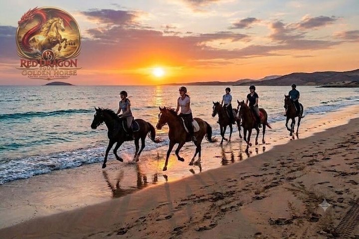 Balade à cheval & Chameau Plage, Désert, Baignade, Lever & Coucher de Soleil - Hurghada | wizardtrip