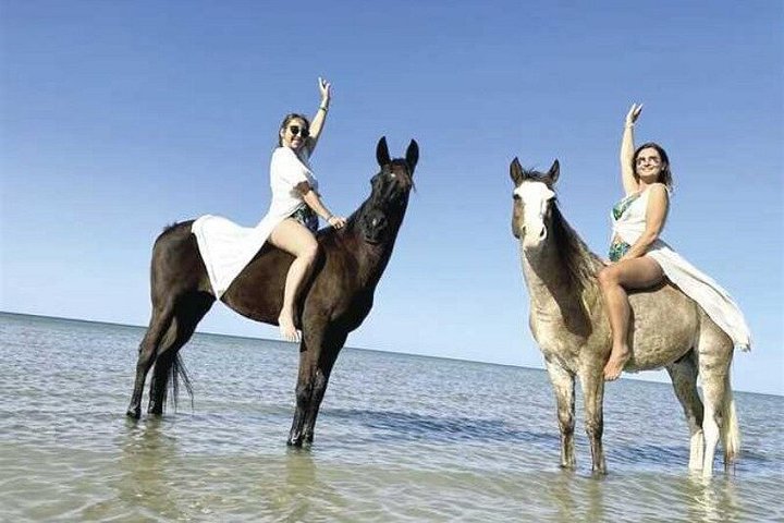 Horse and camel riding adventure in Hurghada, Egypt, with desert and sea views, photo 6 | wizardtrip